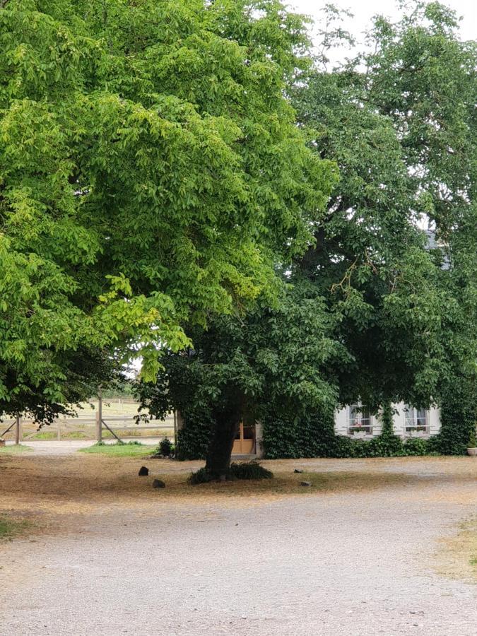 La Tilia Bed & Breakfast Saint-Riquier Dış mekan fotoğraf